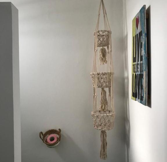 استودیوی استاندارد, Les Aloès By Creyol Animal