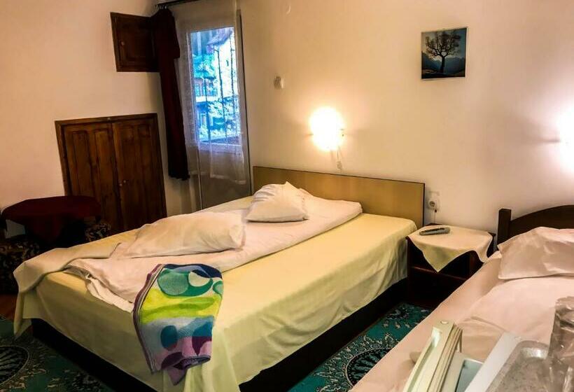 غرفة قياسية ثلاثية, Vila Strugurel