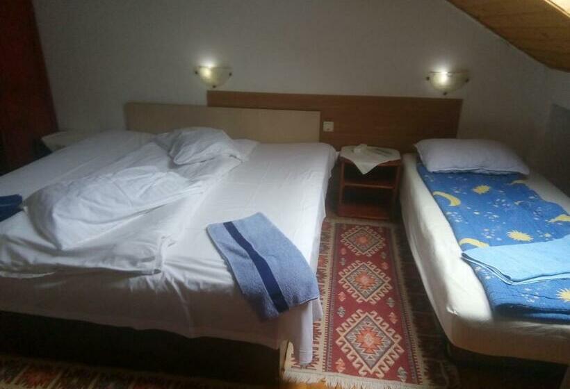 غرفة قياسية رباعية, Vila Strugurel