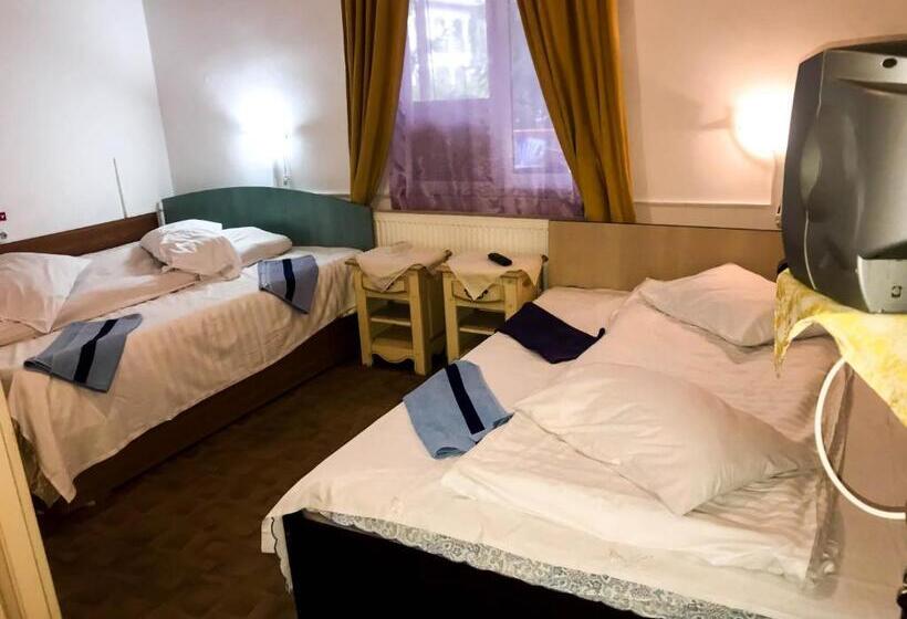 غرفة قياسية رباعية, Vila Strugurel