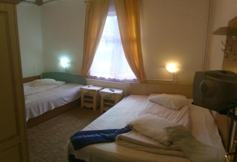 غرفة قياسية رباعية, Vila Strugurel