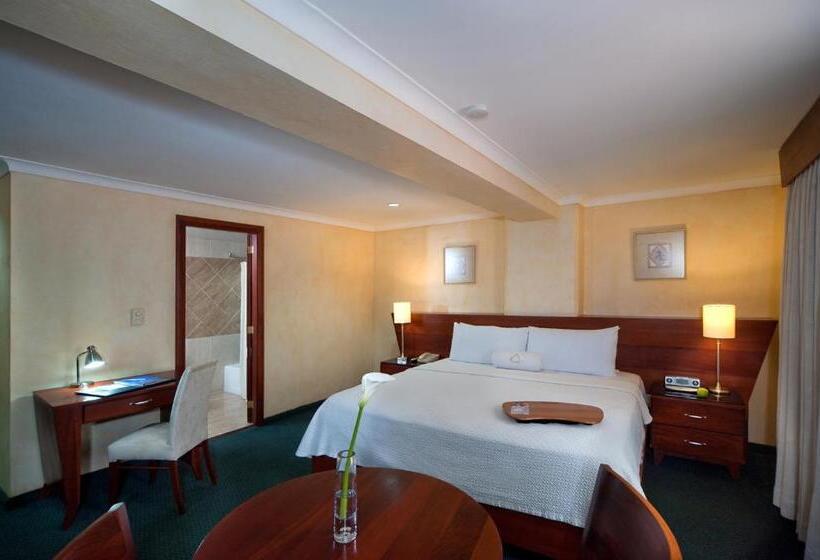 Номер Superior, Hodelpa Gran Almirante