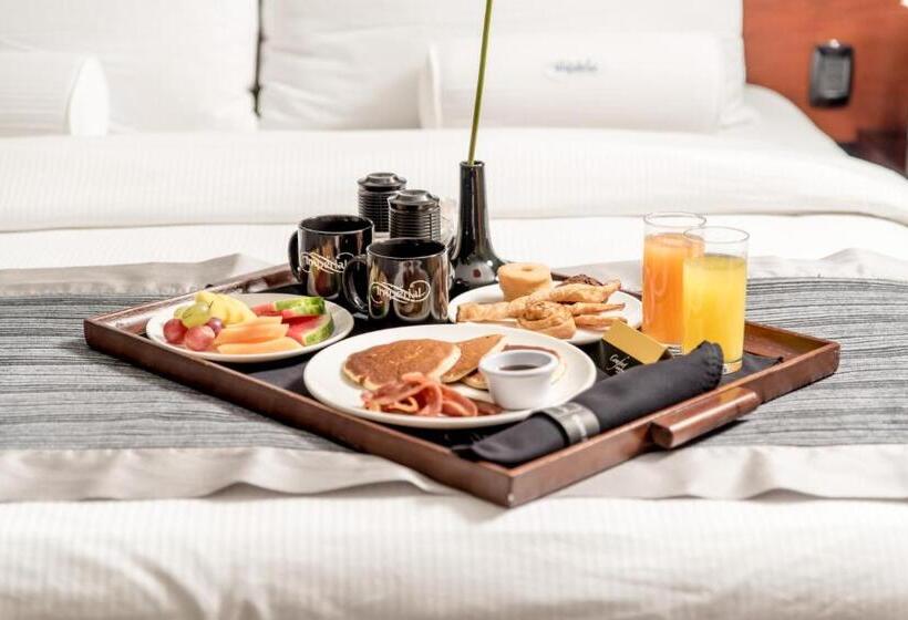 Номер Deluxe, Hodelpa Gran Almirante