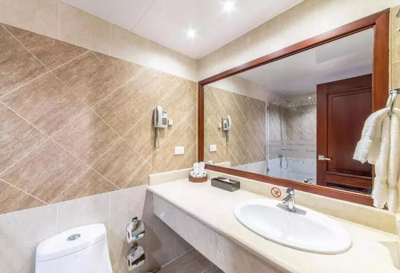 デラックスルーム, Hodelpa Gran Almirante