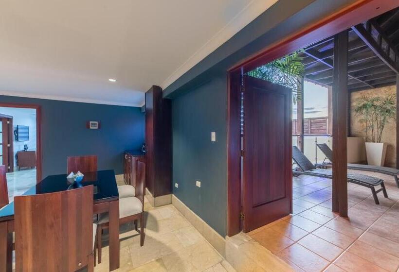 Президентский Люкс, Hodelpa Gran Almirante