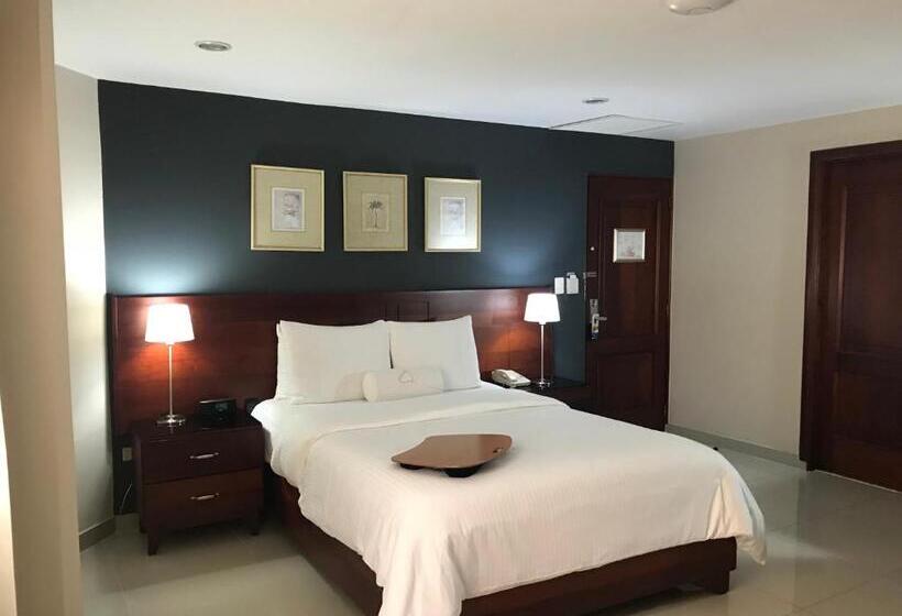 Номер Superior, Hodelpa Gran Almirante