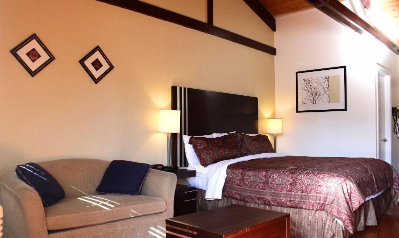 Номер Superior, Hodelpa Gran Almirante