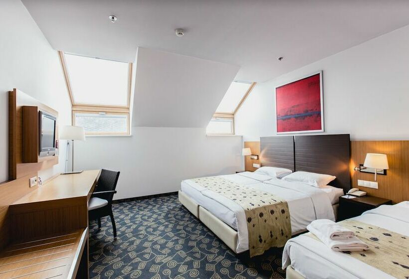 스탠다드 룸, Museum Budapest