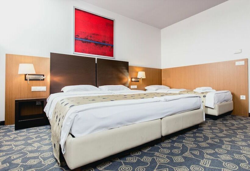 스탠다드 룸, Museum Budapest