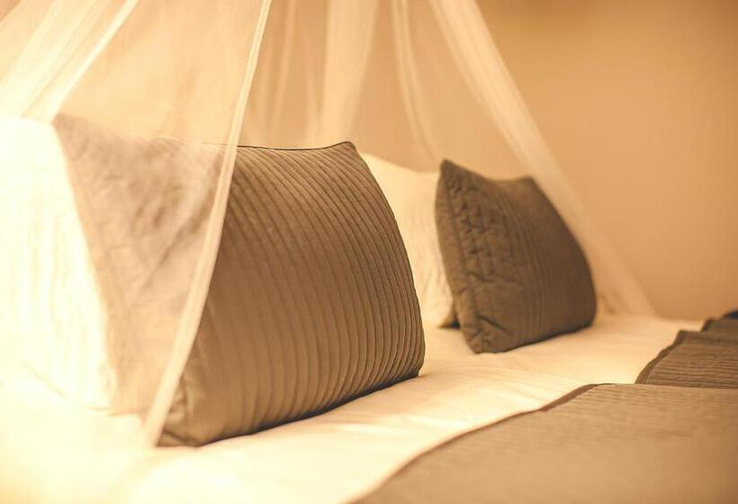 プールの見える1ベッドルームアパートメント, Bodega El Juncal