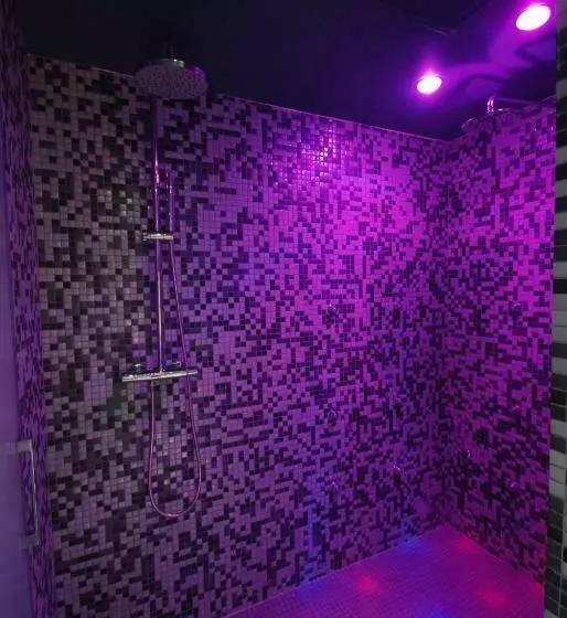 اتاق استاندارد با دسترسی به اسپا, & Spa Real Jaca
