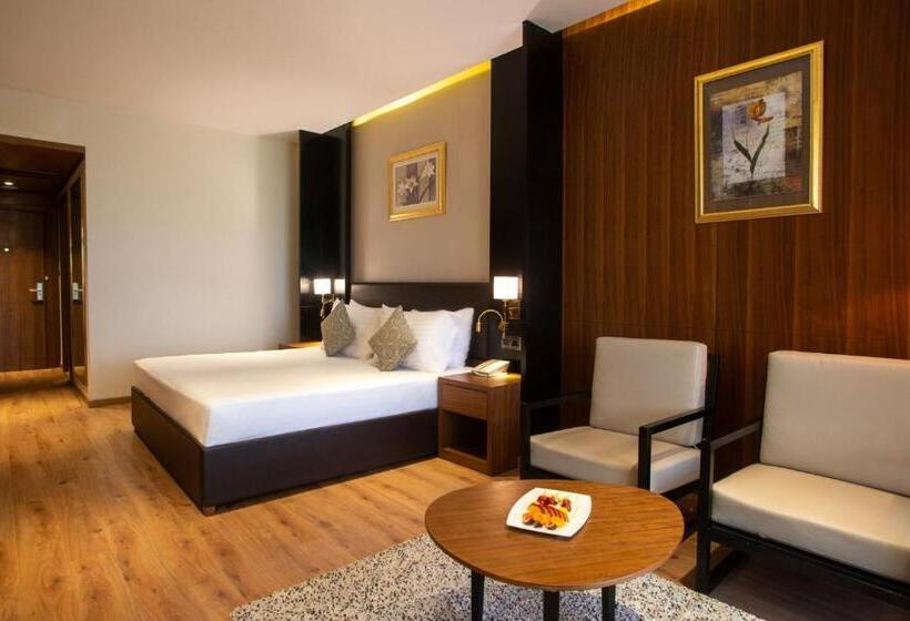 اتاق اجرایی با تخت بزرگ, Mövenpick Hotel Cairo   Media City