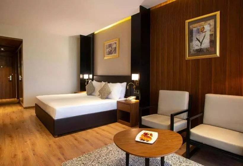 اتاق اجرایی با تخت بزرگ, Mövenpick Hotel Cairo Media City