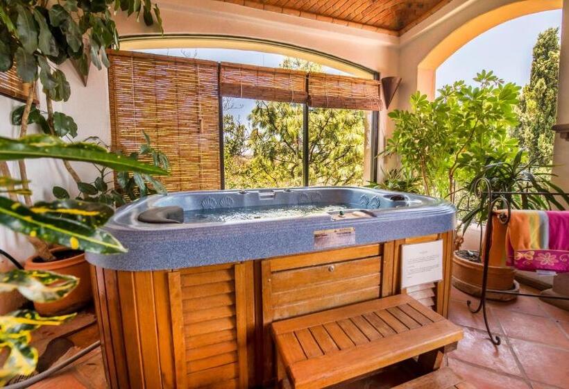 디럭스 스위트, Casa Estrella De La Valenciana Hotel Boutique