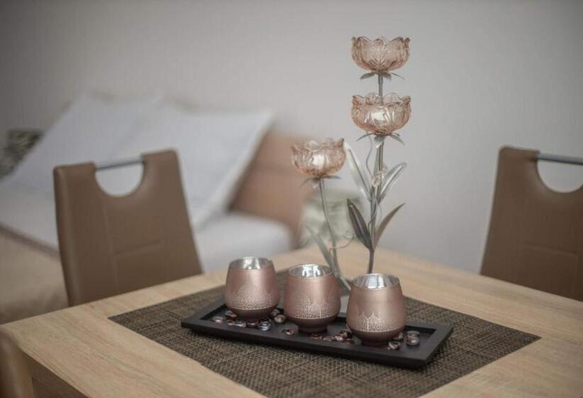 استودیو استاندارد با تخت کینگ, Apartments Gvozdenovic