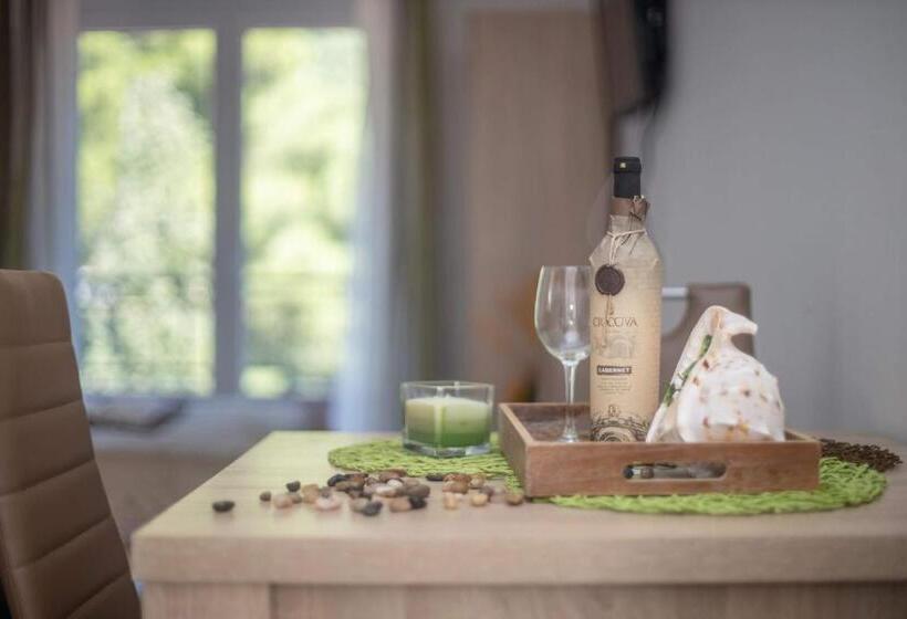 استودیو استاندارد با چشمانداز استخر, Apartments Gvozdenovic