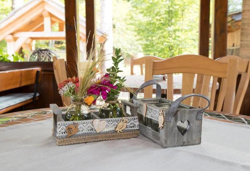 اتاق اکونومی, Hiša Erlah