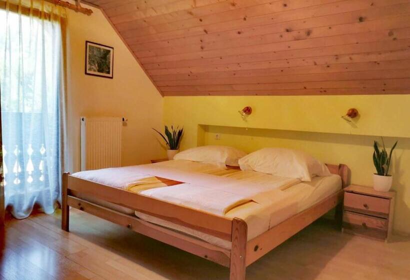 اتاق استاندارد, Hiša Erlah