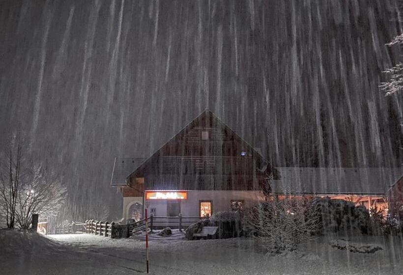 اتاق استاندارد, Hiša Erlah