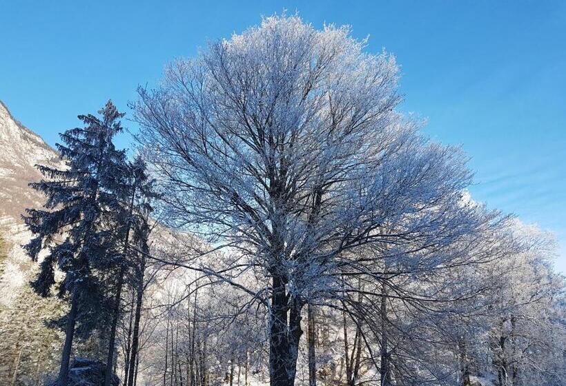 اتاق استاندارد با چشمانداز کوهستان, Hiša Erlah