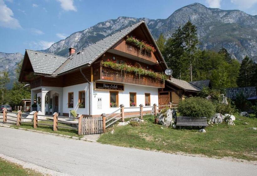 اتاق استاندارد با چشمانداز کوهستان, Hiša Erlah