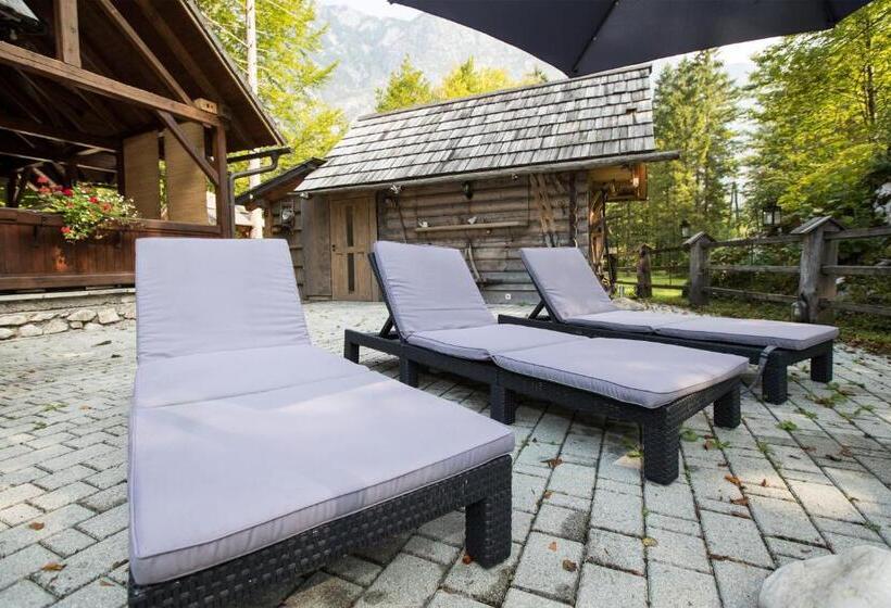 اتاق استاندارد با چشمانداز کوهستان, Hiša Erlah