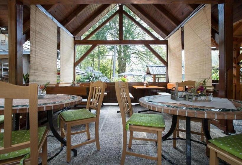 اتاق اکونومی, Hiša Erlah