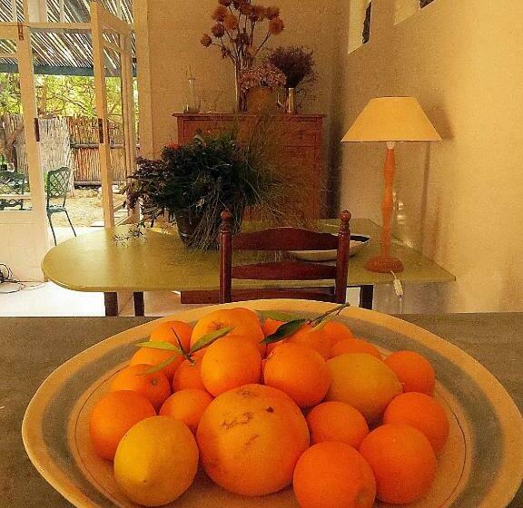 منزل غرفة نوم واحدة, The Olive Thrush Cottage