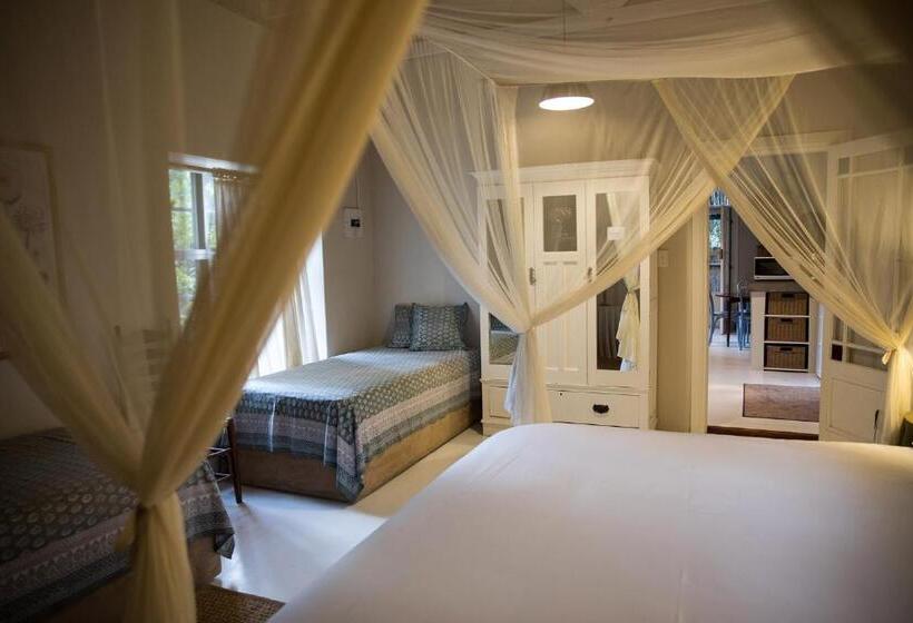 منزل غرفة نوم واحدة, The Olive Thrush Cottage