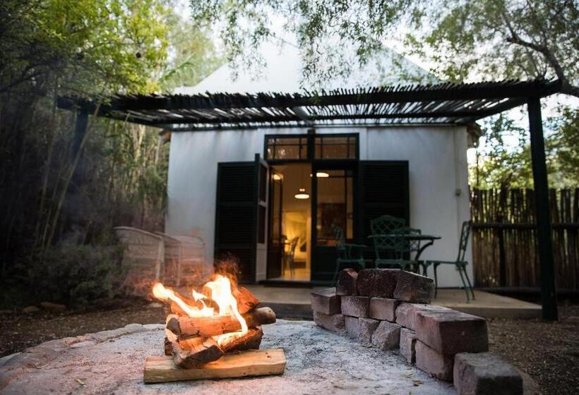 منزل غرفة نوم واحدة, The Olive Thrush Cottage