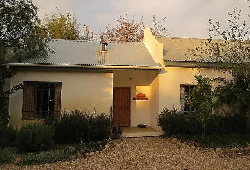１ベッドルームハウス, The Olive Thrush Cottage