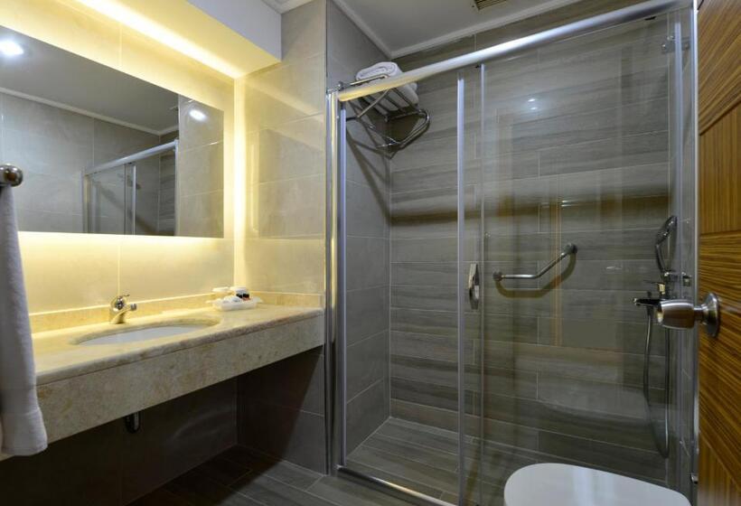 اتاق استاندارد با تخت بزرگ, Euro Park Hotel Bursa