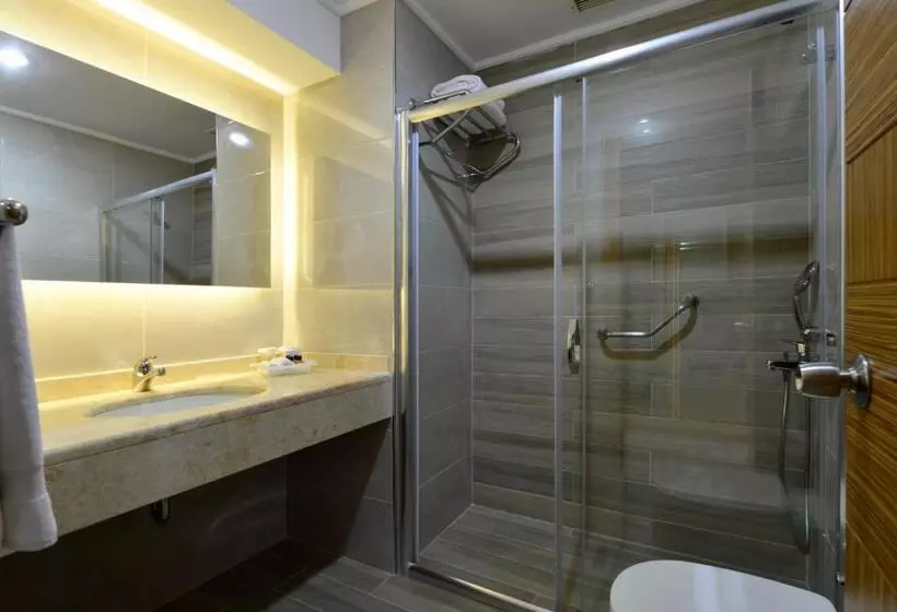 اتاق استاندارد با تخت بزرگ, Euro Park Hotel Bursa