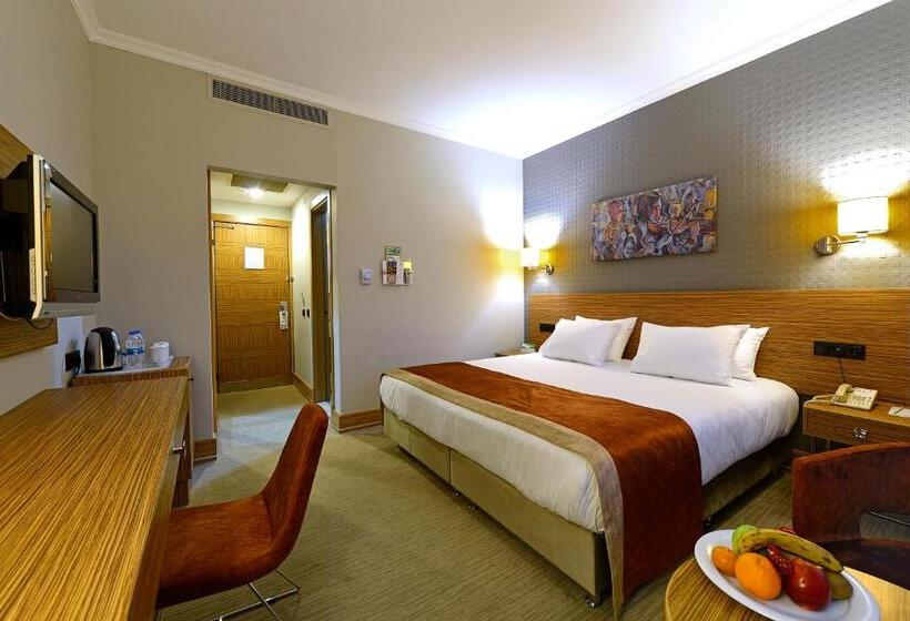 اتاق استاندارد با تخت بزرگ, Euro Park Hotel Bursa