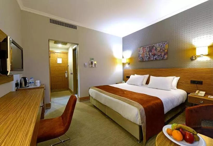 اتاق استاندارد با تخت بزرگ, Euro Park Hotel Bursa