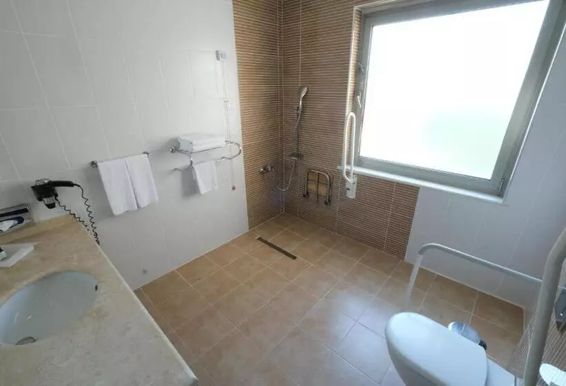 اتاق استاندارد برای معلولان, Euro Park Hotel Bursa