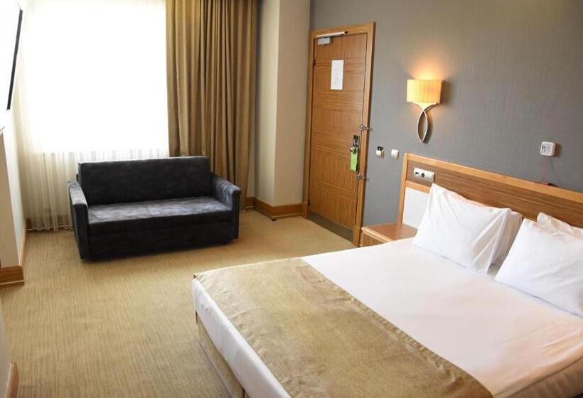 اتاق استاندارد برای معلولان, Euro Park Hotel Bursa