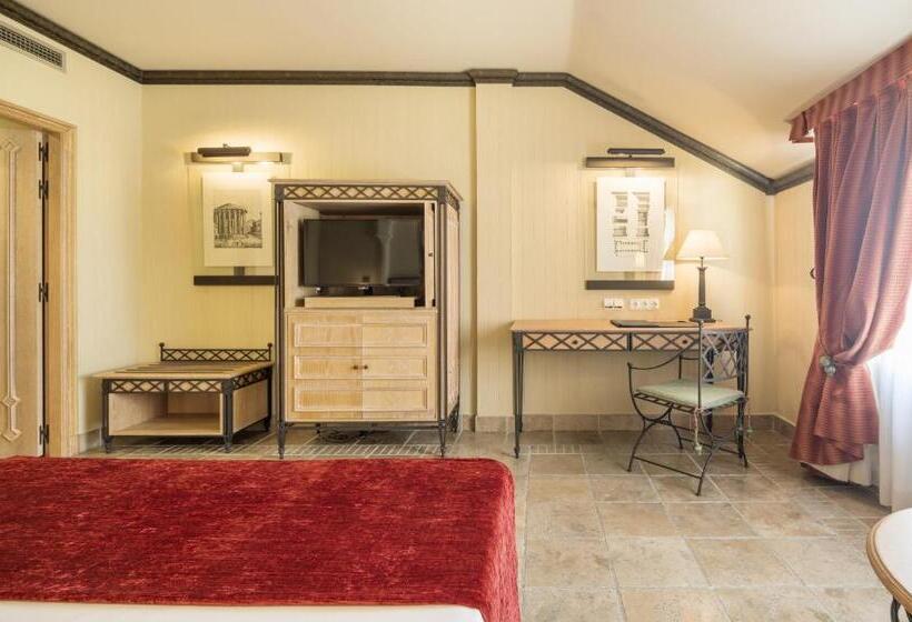 اتاق استاندارد, Ilunion Merida Palace