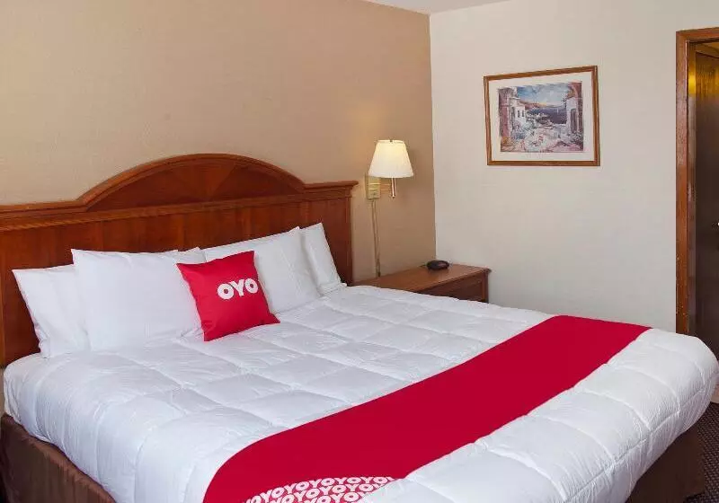 اتاق خانوادگی, Nm Suites By Escampa Hotels