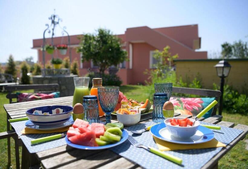 استودیوی سوپریور, B&b Mediterraneo