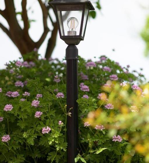 استودیوی سوپریور, B&b Mediterraneo