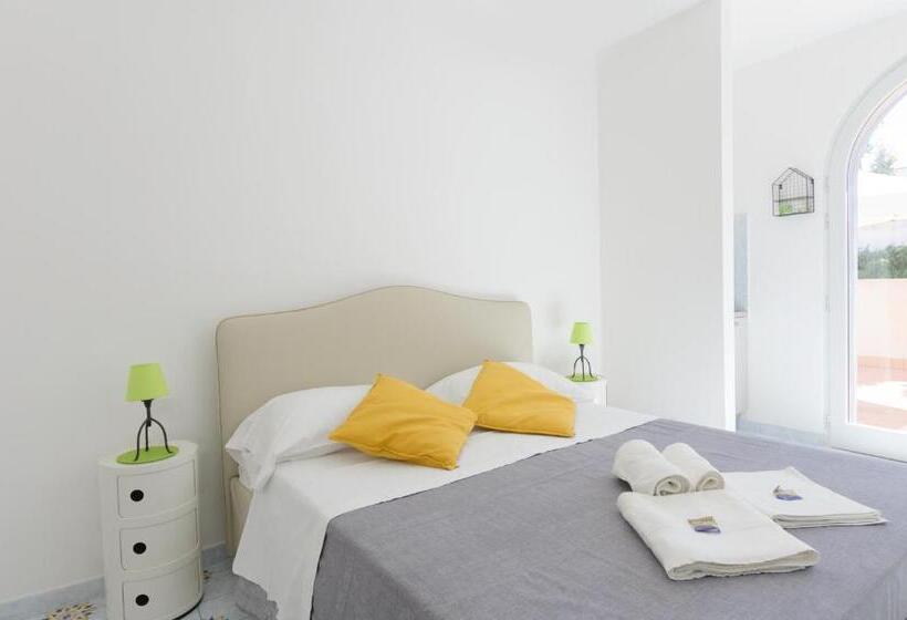 استودیوی سوپریور, B&b Mediterraneo