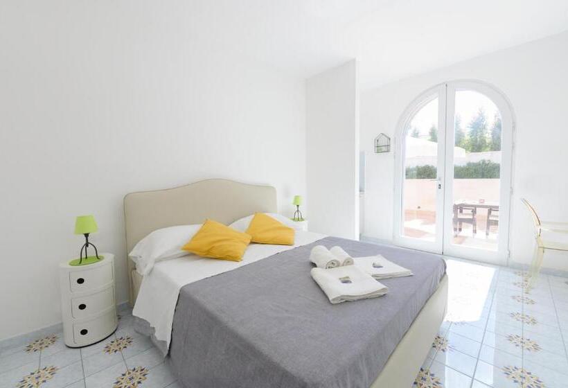 استودیوی سوپریور, B&b Mediterraneo