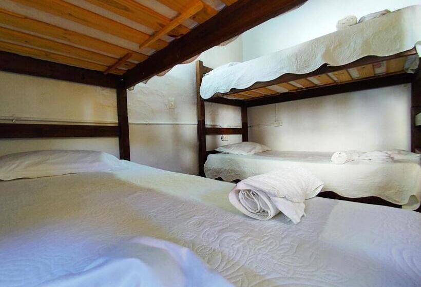 이코노이 4인룸, Hostel Trip Monkey Barichara