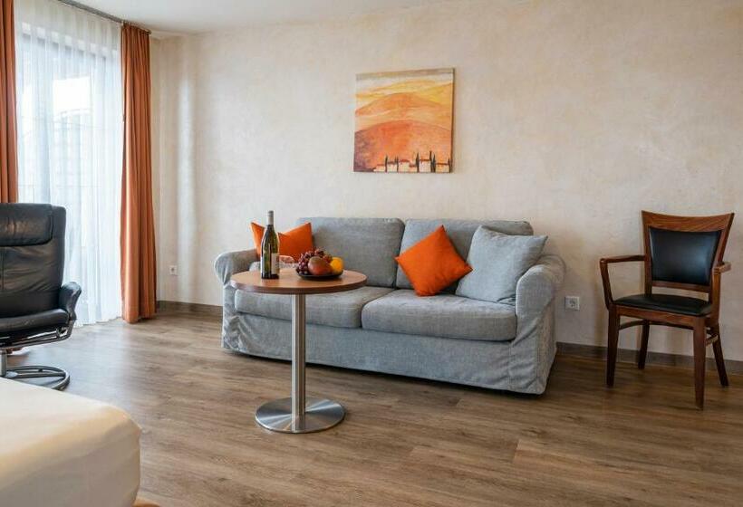 חדר סטנדרט עם מרפסת, Hagnauer Hof