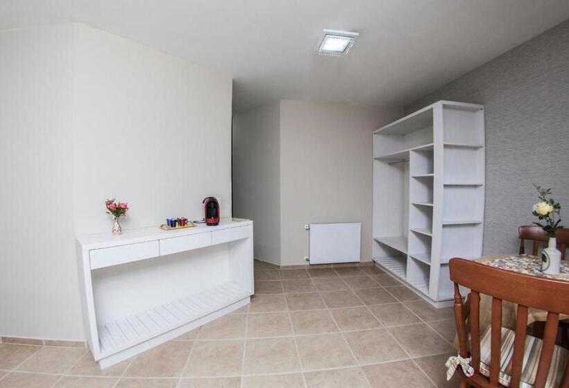 발코니가 있는 스위트, Cozumel Sierra