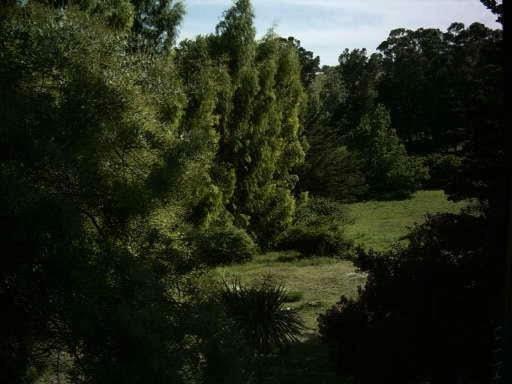 اتاق خانوادگی, Posada A Viagem