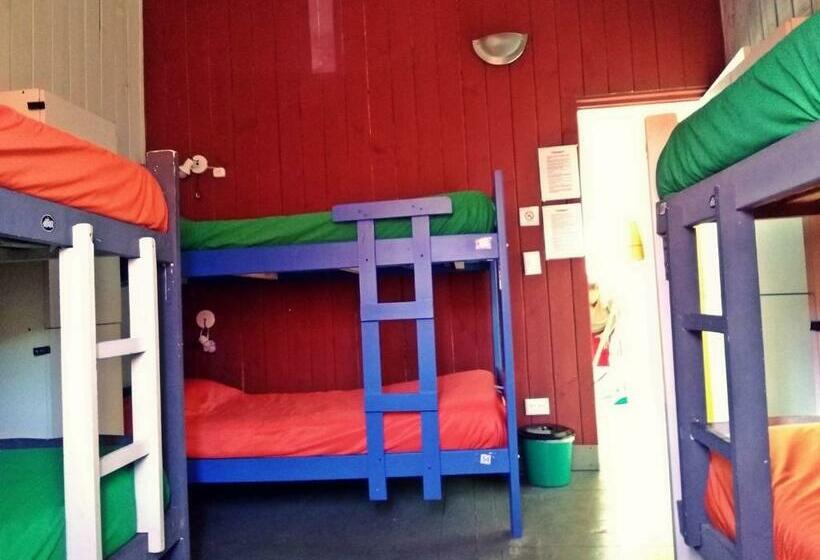ルームシェアのワンベッド, Alhue Patagonia Hostel