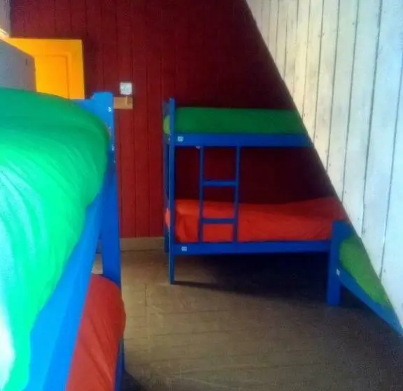 ルームシェアのワンベッド, Alhue Patagonia Hostel