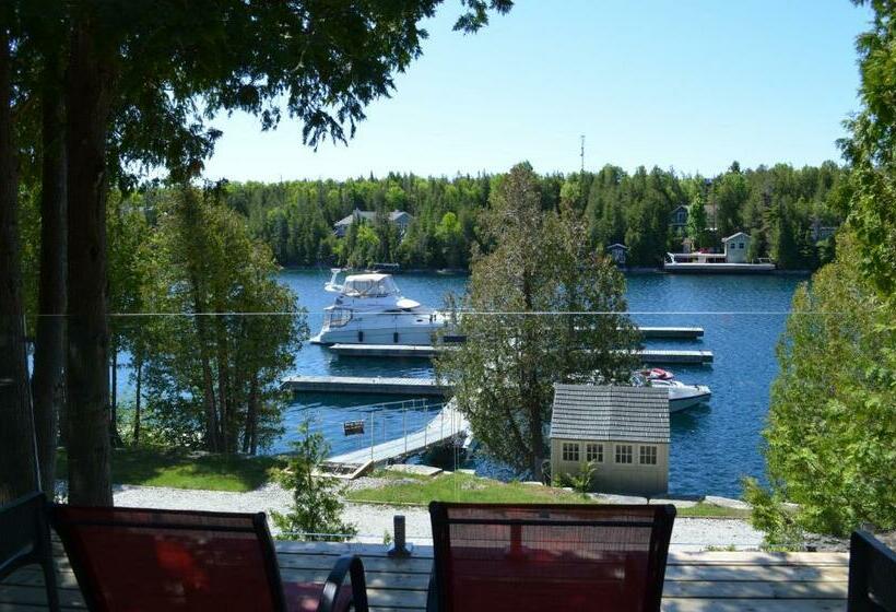 غرفة قياسية سرير ملكى, Big Tub Resort & Marina